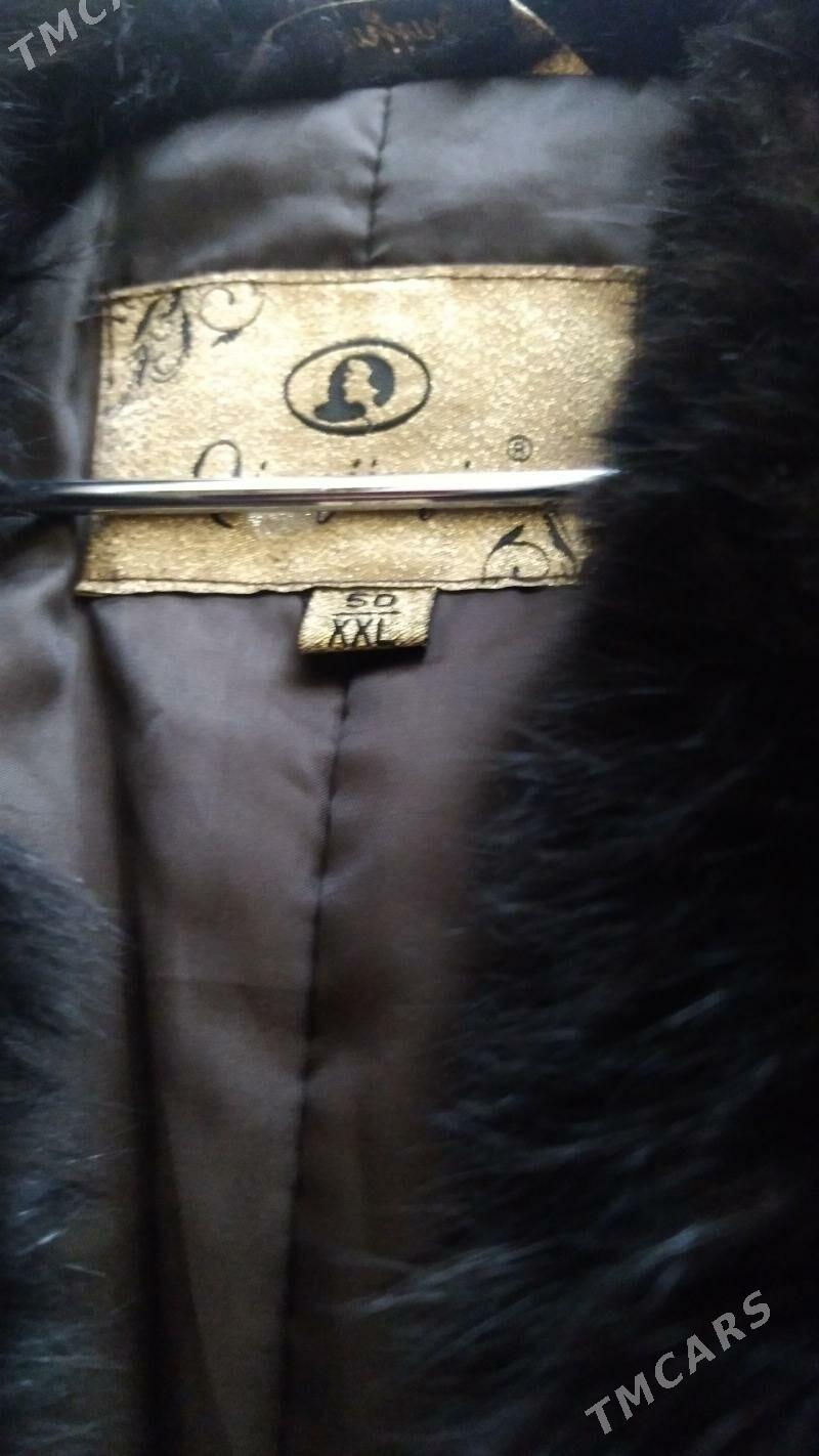 shuba - Daşoguz - img 2