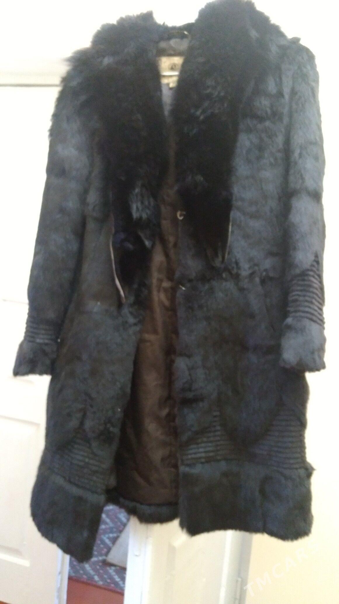 shuba - Daşoguz - img 3