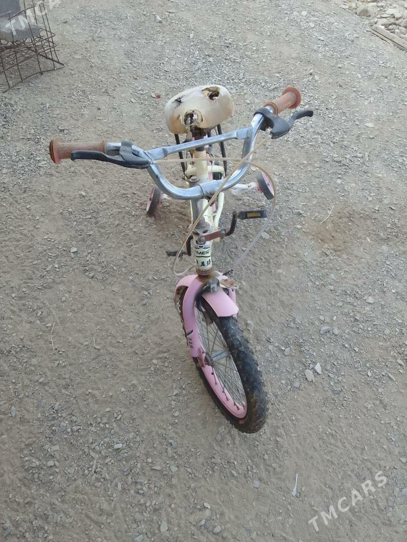 Çaga tigiri ulanylan - Бахарден - img 2