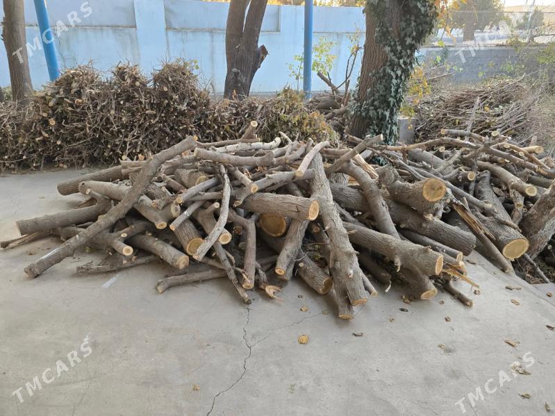 Дрова, дерово тутовое.(тутошка - Гёкдже - img 2