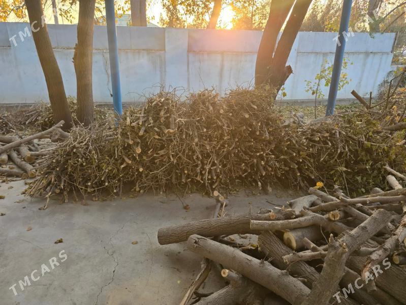 Дрова, дерово тутовое.(тутошка - Гёкдже - img 3