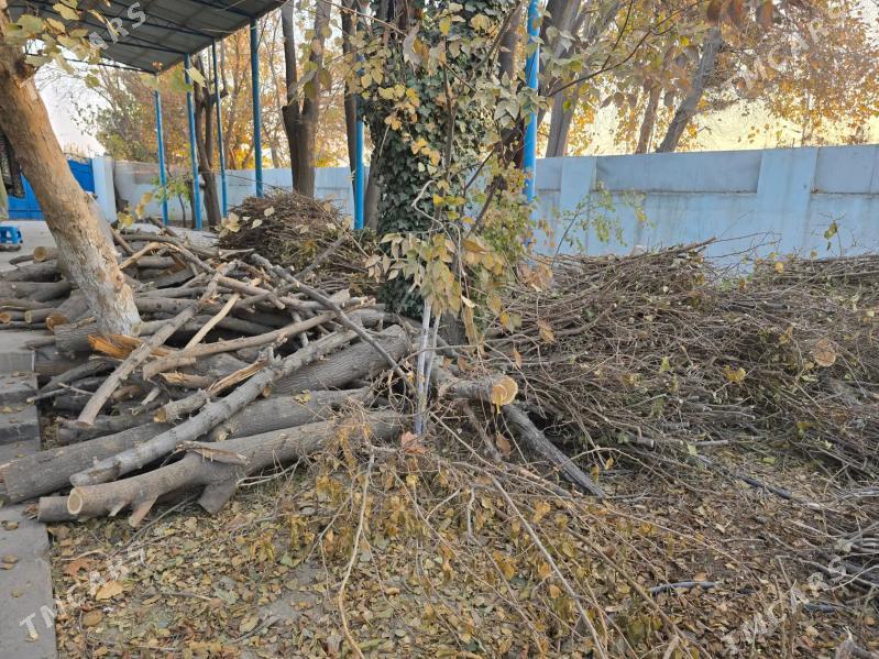 Дрова, дерово тутовое.(тутошка - Гёкдже - img 6