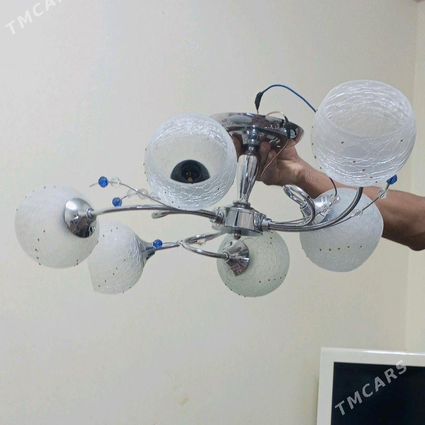 Lusdyra - Parahat 7 - img 3