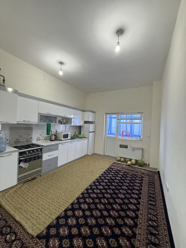 AMATLY POLU-ELITKA - Änew - img 4