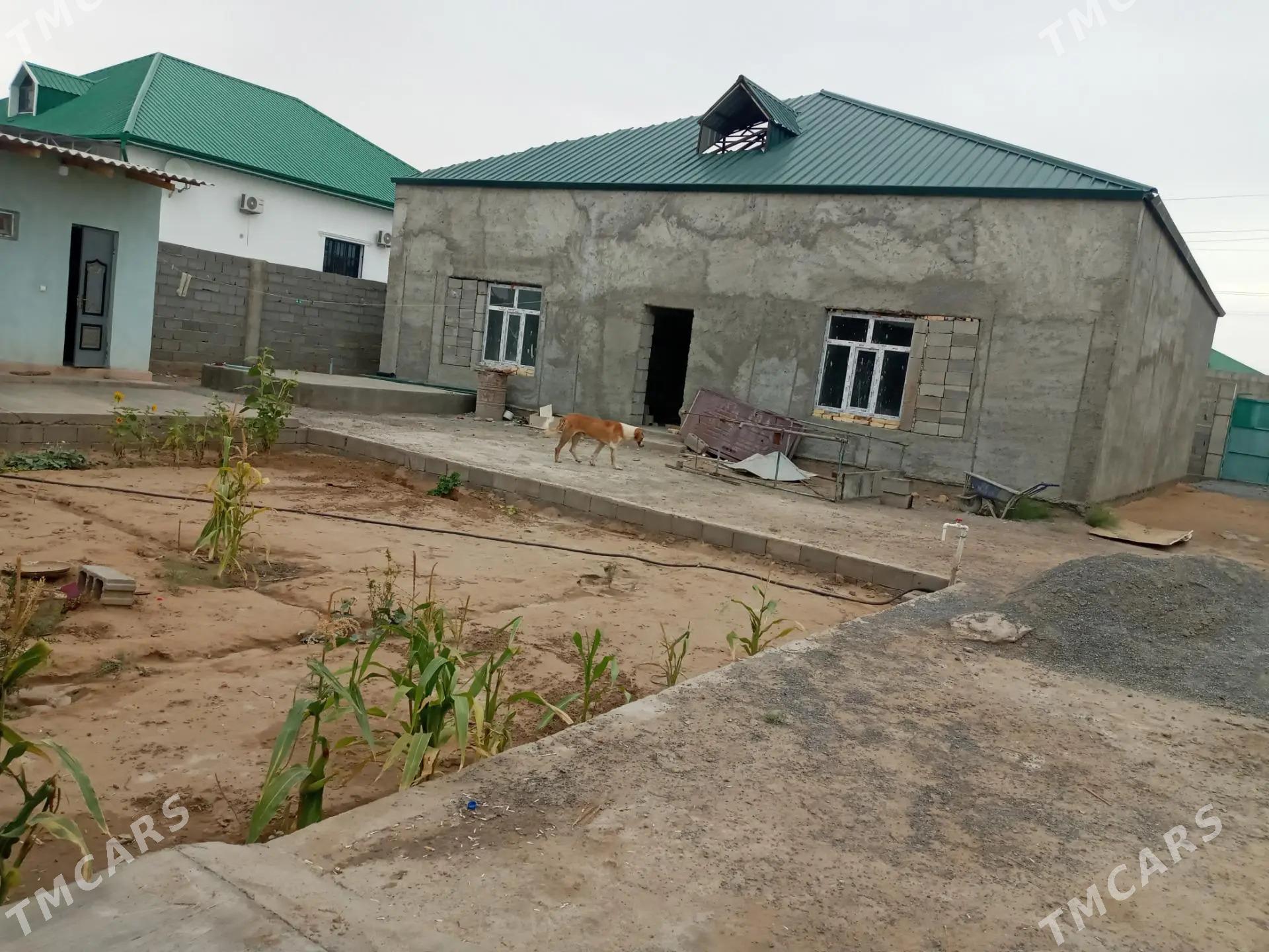 Anew plan 10 sotok 5 komnat - Анев - img 4