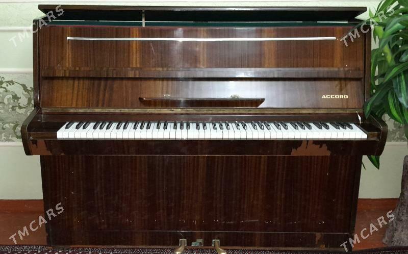 pianino - Дашогуз - img 1