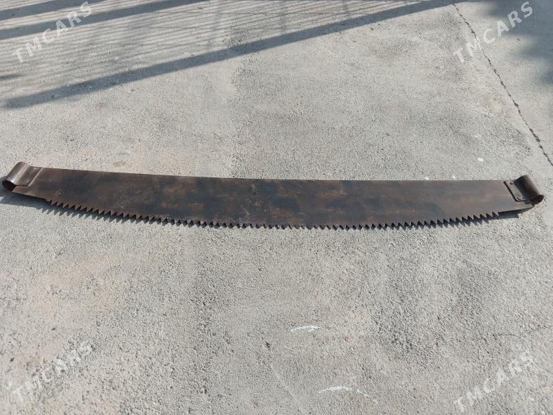 Agaç kesŷän - Aşgabat - img 2