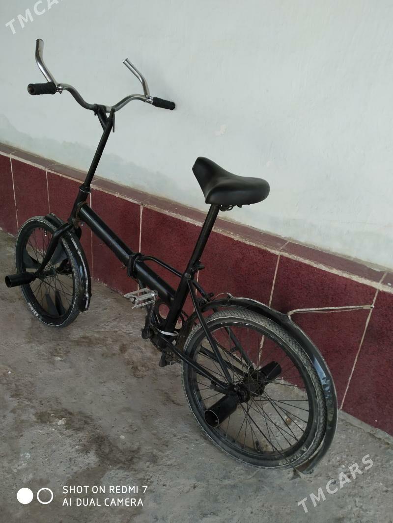 Kama - Tejen - img 3