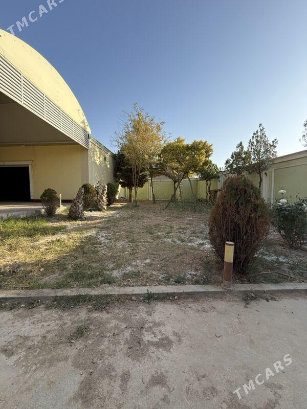 Çoganly plan Ambar - Aşgabat - img 3