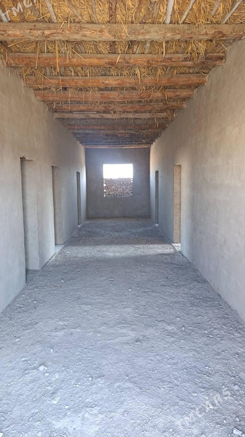 gulustan mel yer - Daşoguz - img 2