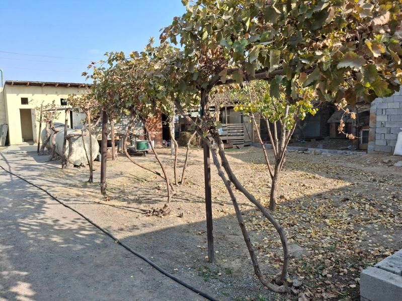 coganly kopruden dusen yerin - Чоганлы - img 1