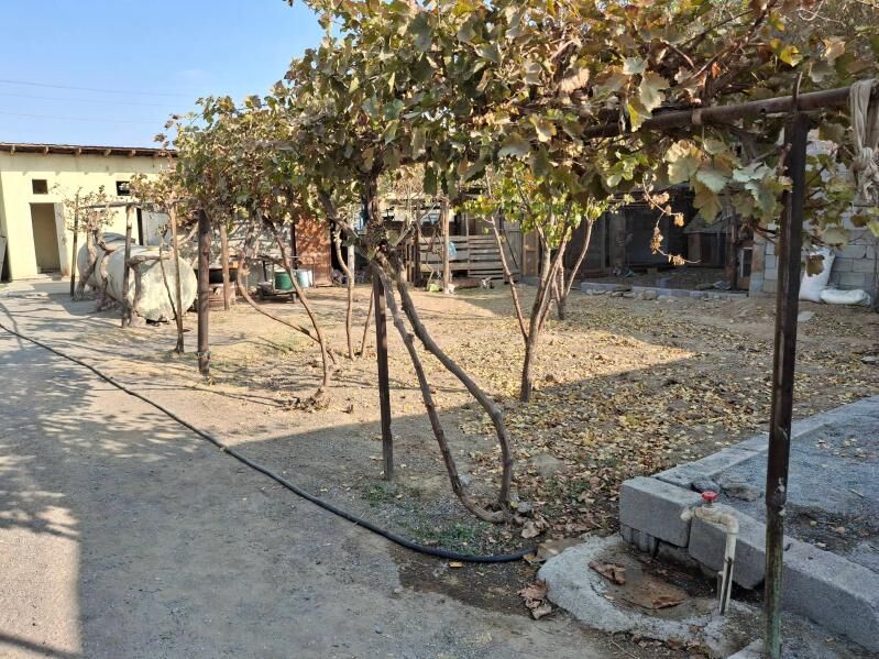 coganly kopruden dusen yerin - Чоганлы - img 3