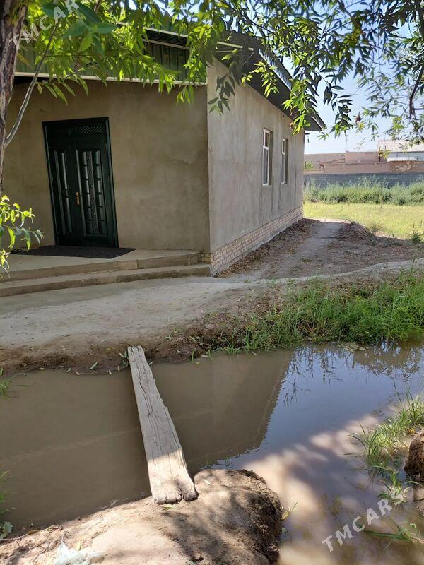 Taze jaý sroçno - Кёнеургенч - img 2