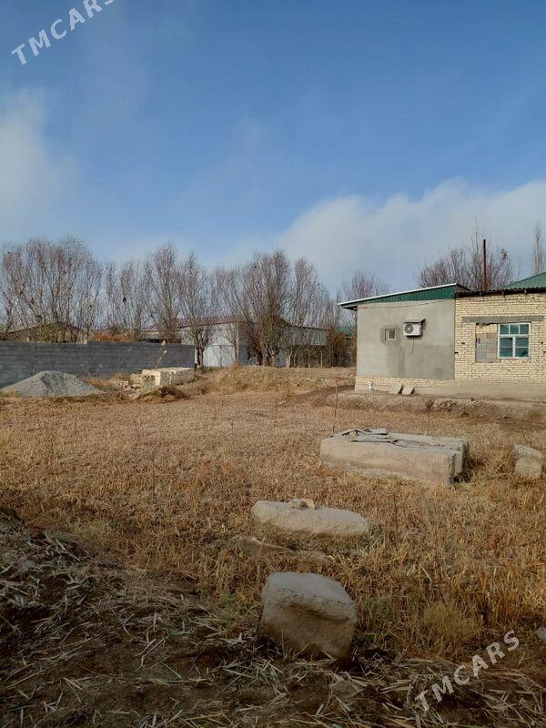 Taze jaý sroçno - Кёнеургенч - img 3