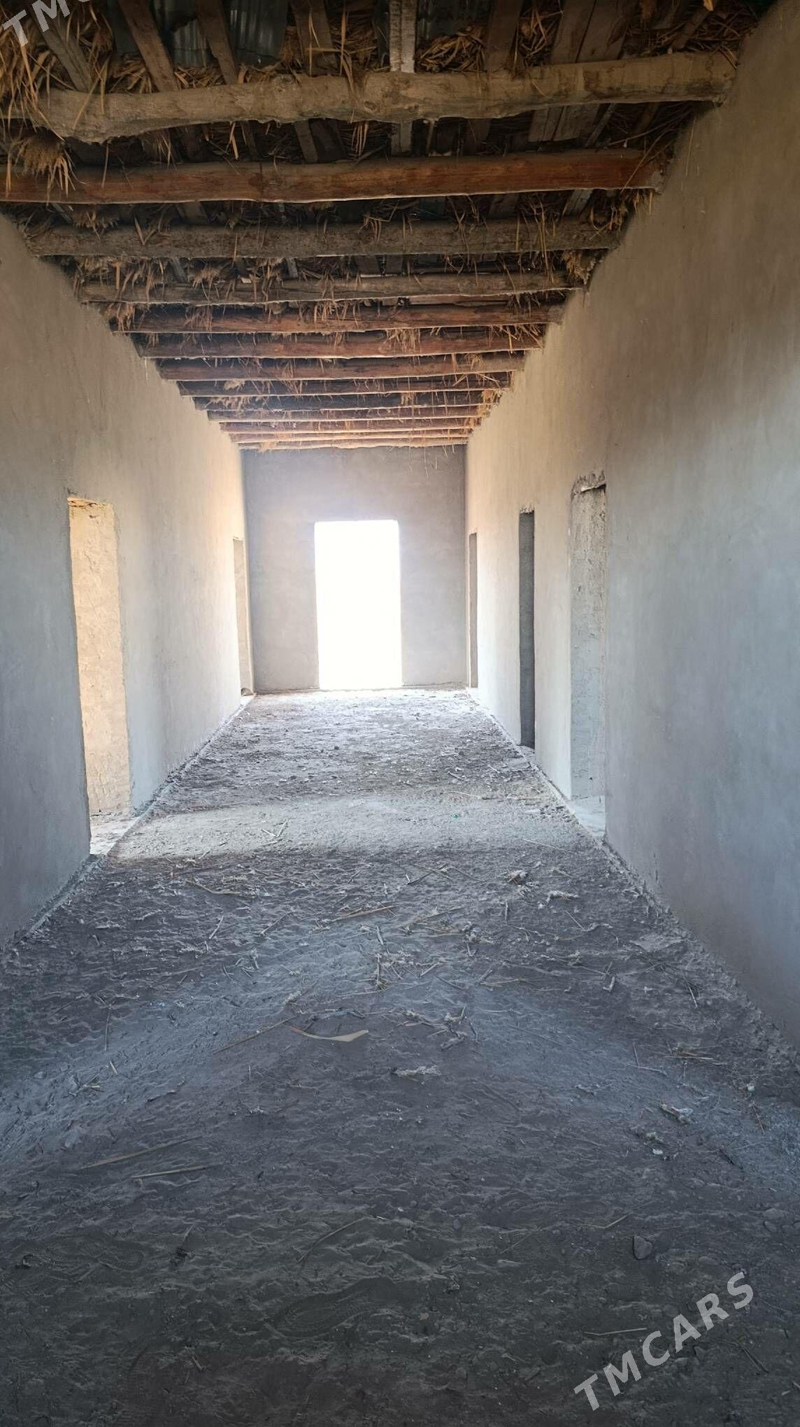 gulustan mel yer - Daşoguz - img 3