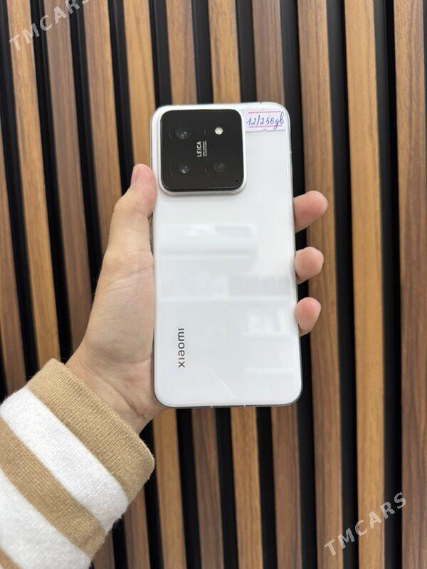 Mi 14 - Mary - img 5