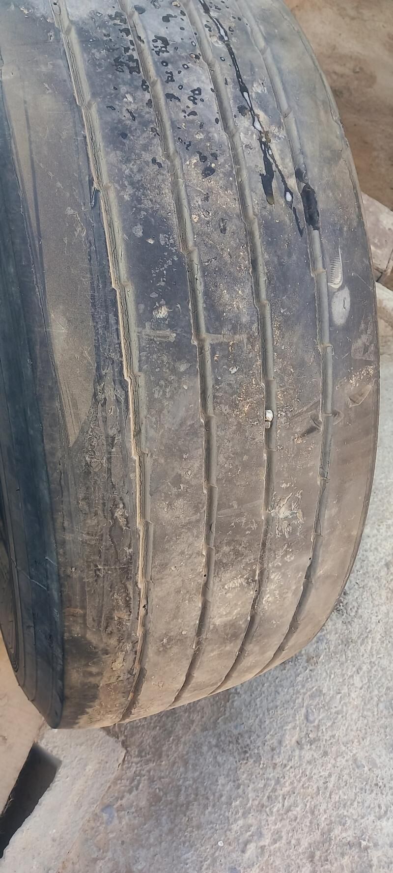 teker pilot 900 TMT - Büzmeýin - img 3