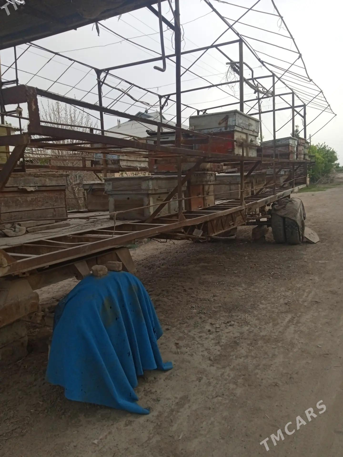 Prisep Polprisep 2022 - 20 000 TMT - Mary - img 2