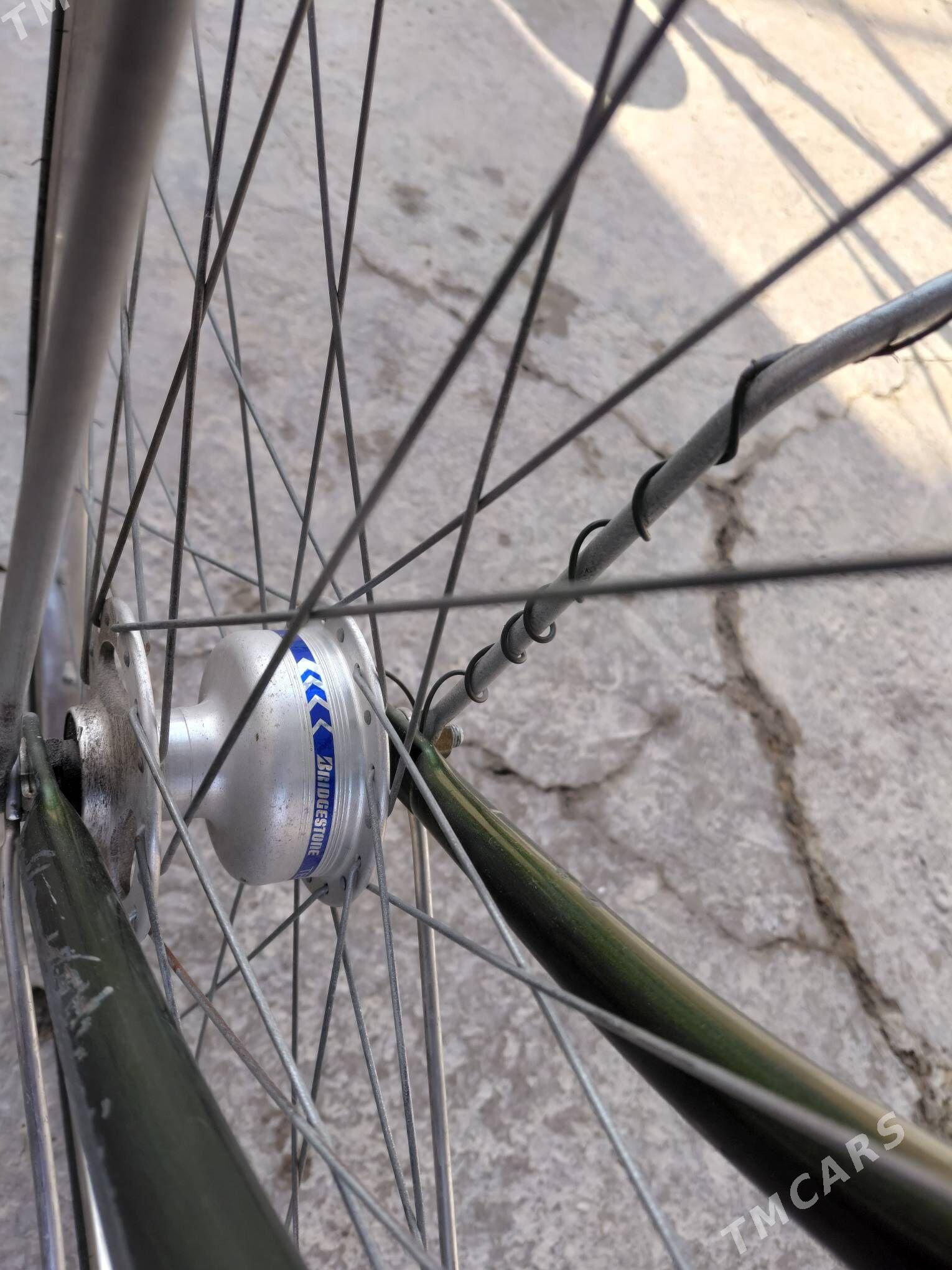  WeLiSoPeD 27  - Saýat - img 8