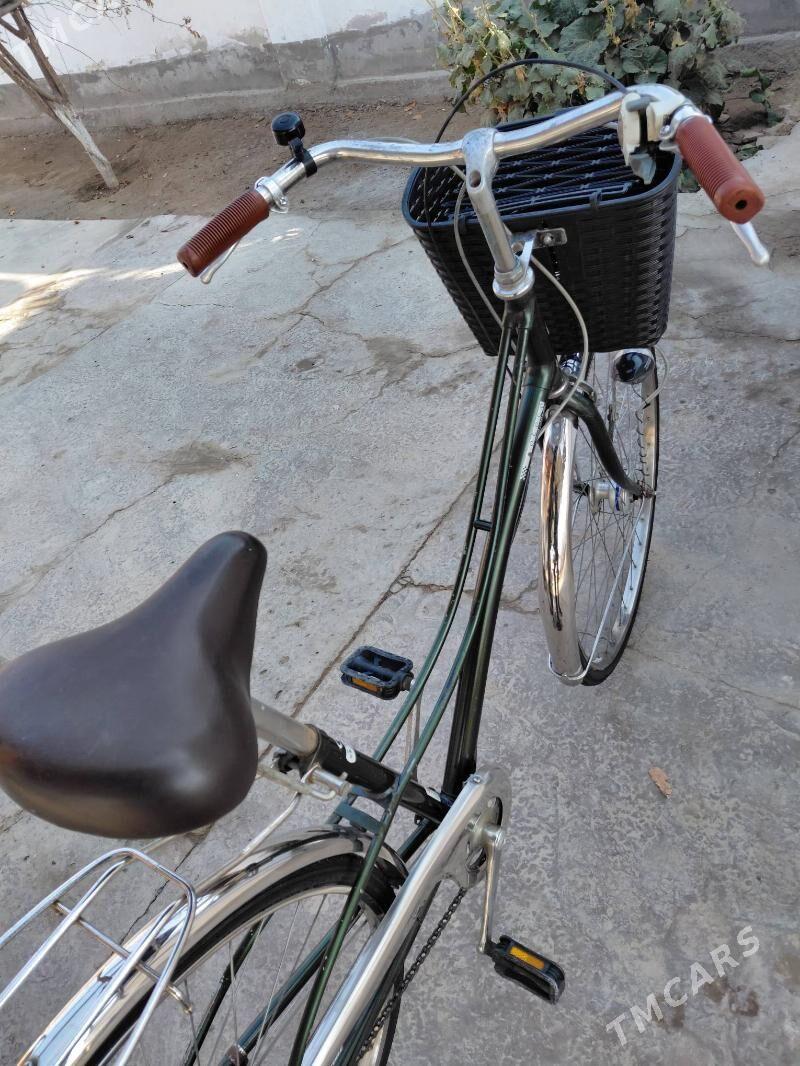  WeLiSoPeD 27  - Saýat - img 9