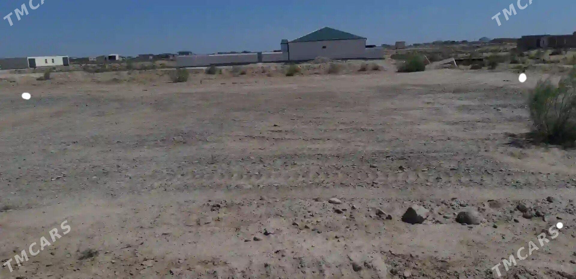 Satlyk mellek jay - Çärjew - img 2