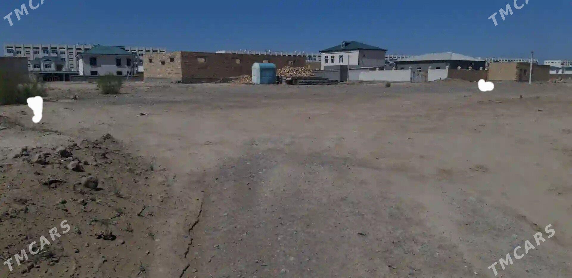 Satlyk mellek jay - Çärjew - img 4