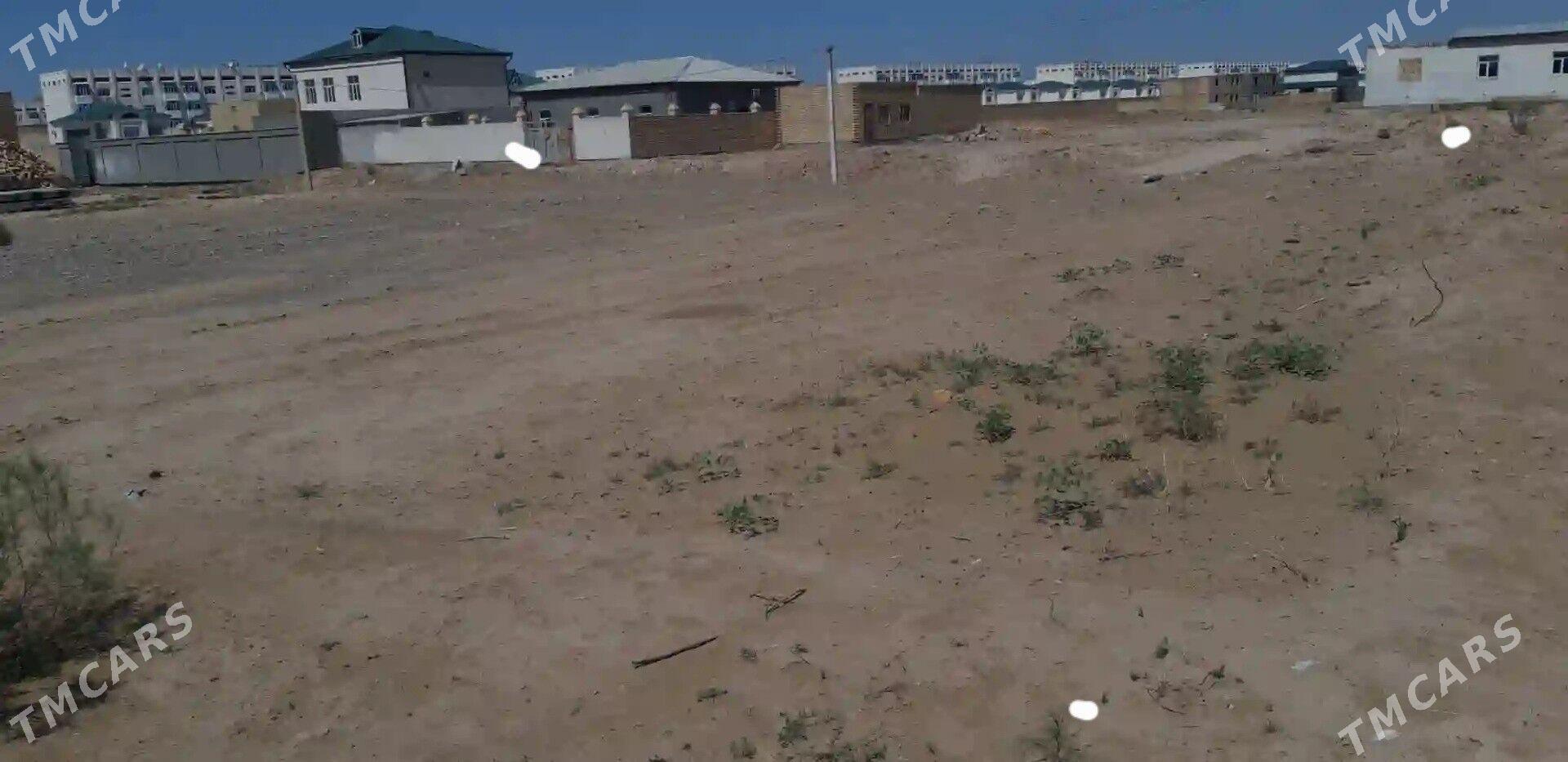 Satlyk mellek jay - Çärjew - img 3