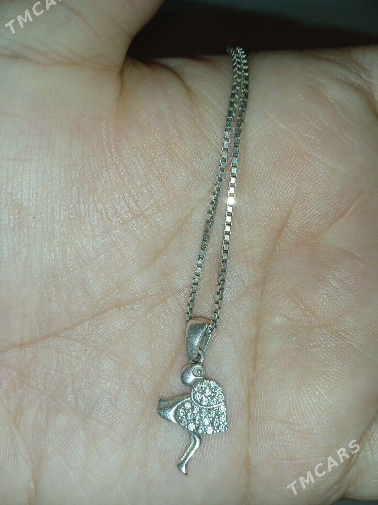 Kümüş sepoçka - Balkanabat - img 3