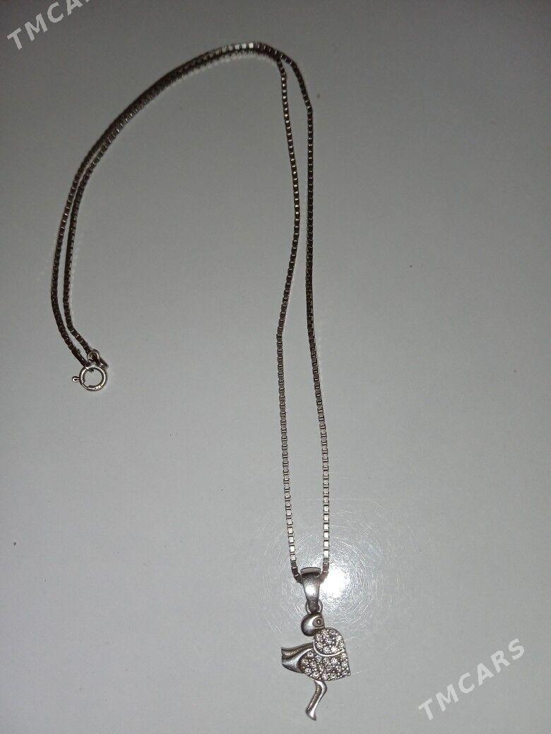 Kümüş sepoçka - Balkanabat - img 2