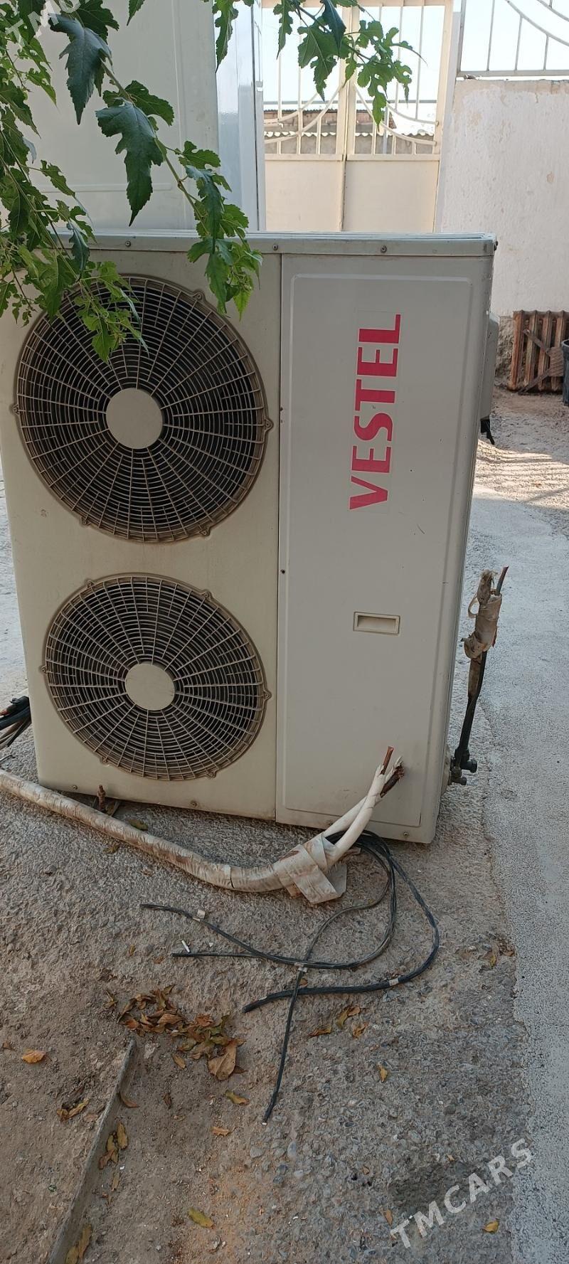 Skaf kansaner westel - Aşgabat - img 2