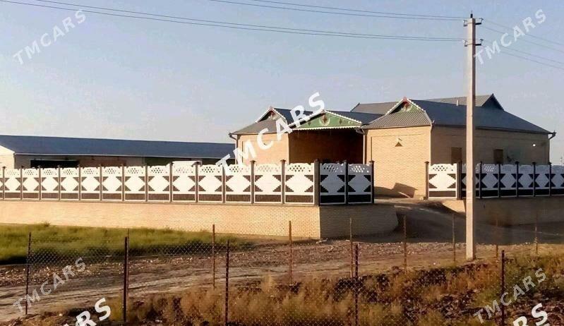 beton zabor - Mary - img 4