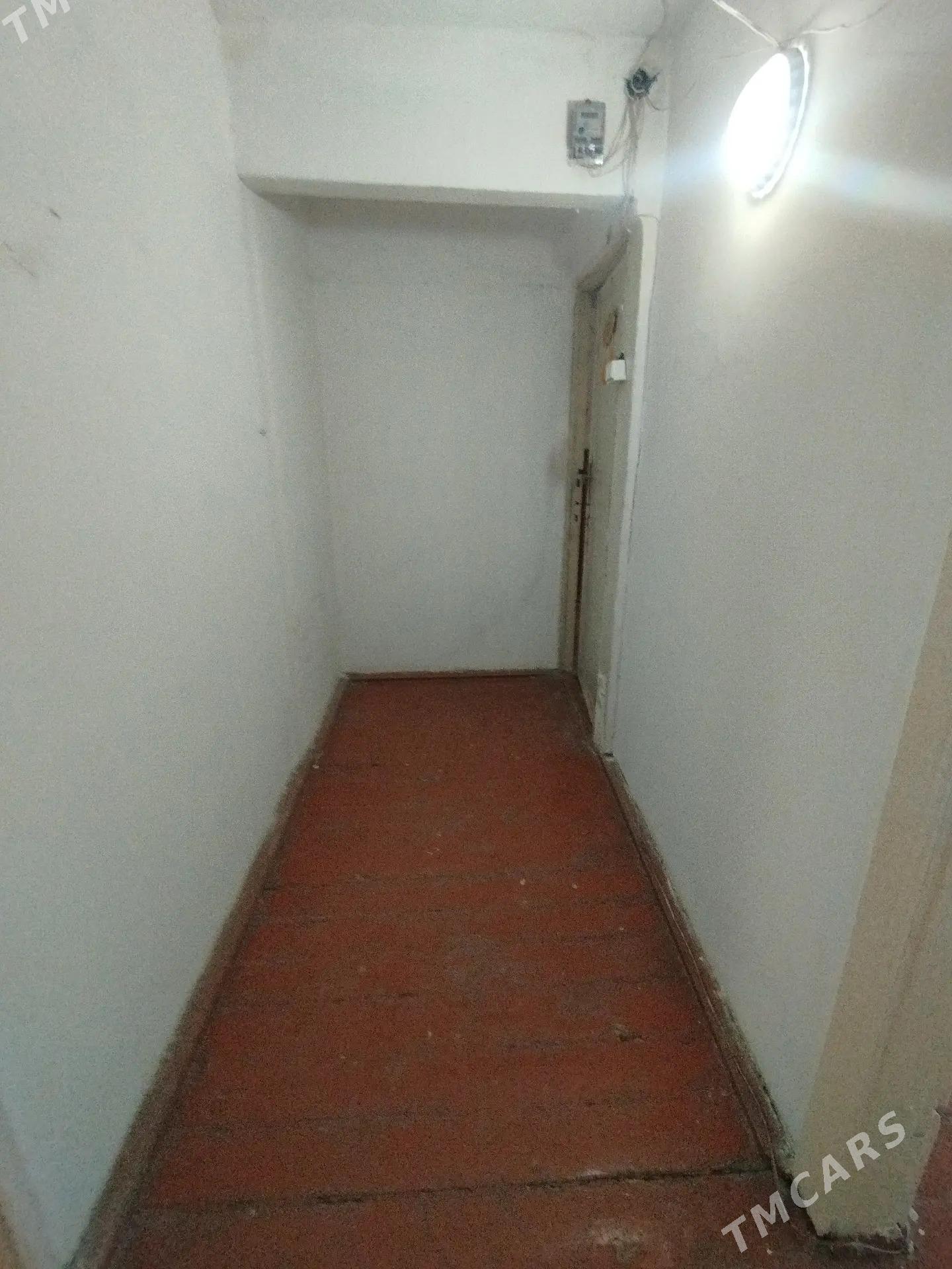 Satlyk jay - Мары - img 2