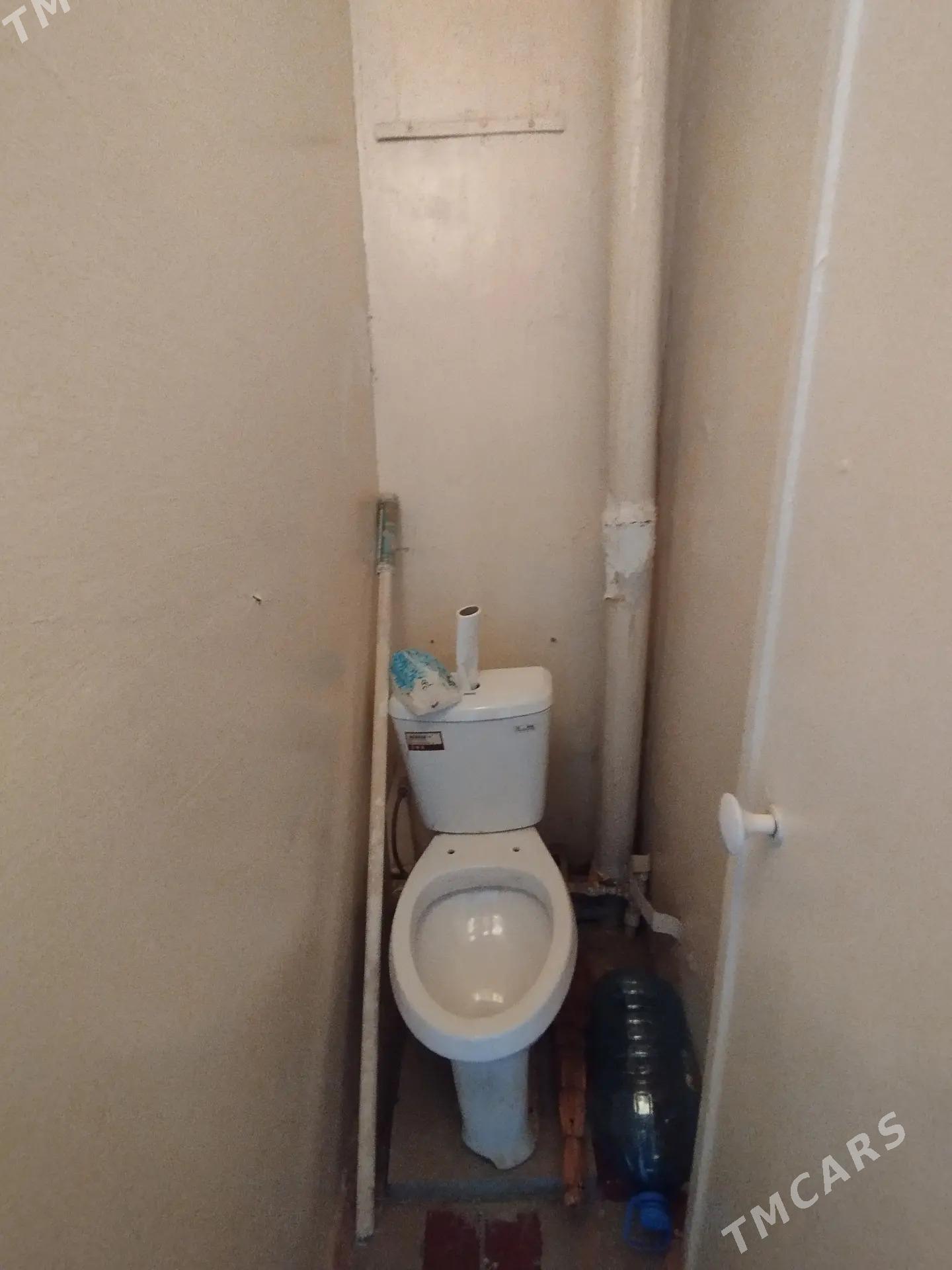 Satlyk jay - Мары - img 4