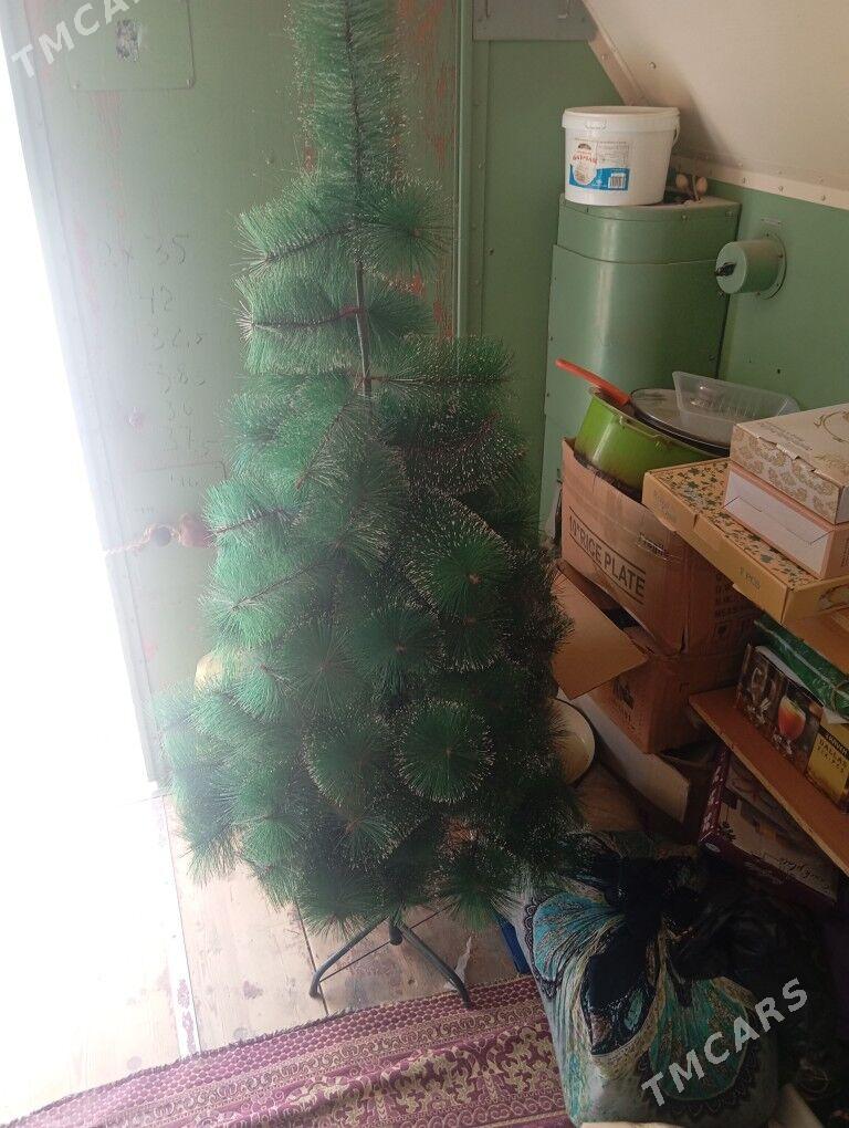 yolka - Балканабат - img 6