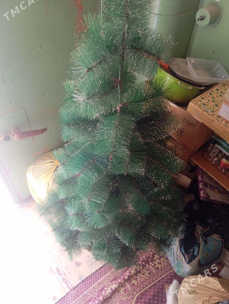 yolka - Балканабат - img 4