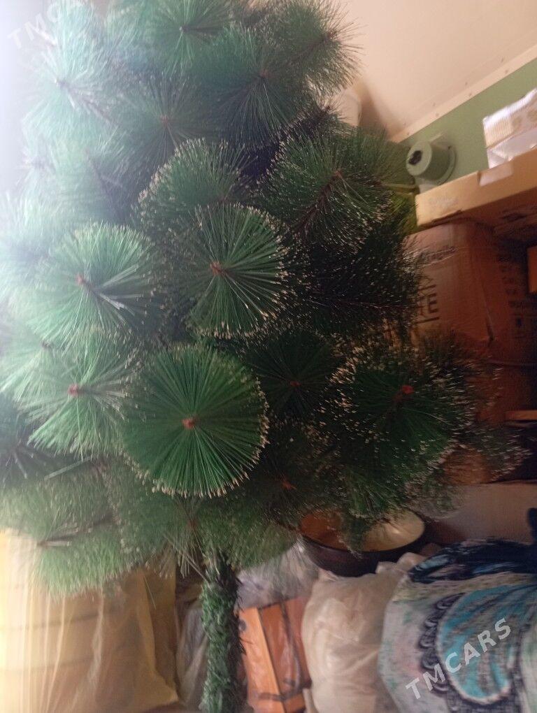 yolka - Балканабат - img 5