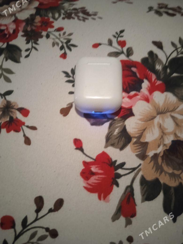 NAUŞNIK - Kerki - img 3