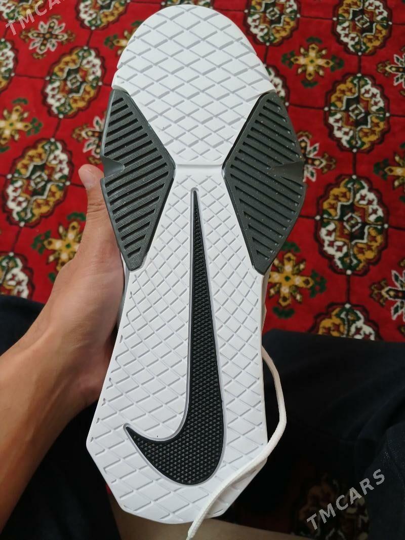 Krasowka - Aşgabat - img 3