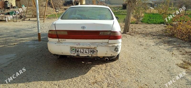 Toyota Corona 1992 - 25 000 TMT - Sakarçäge - img 4