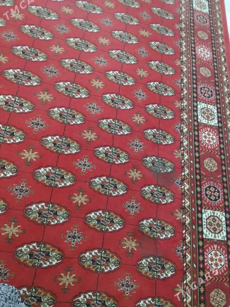 haly - Aşgabat - img 2