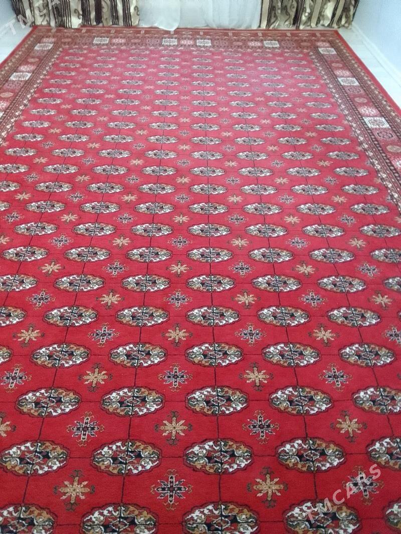 haly - Aşgabat - img 1