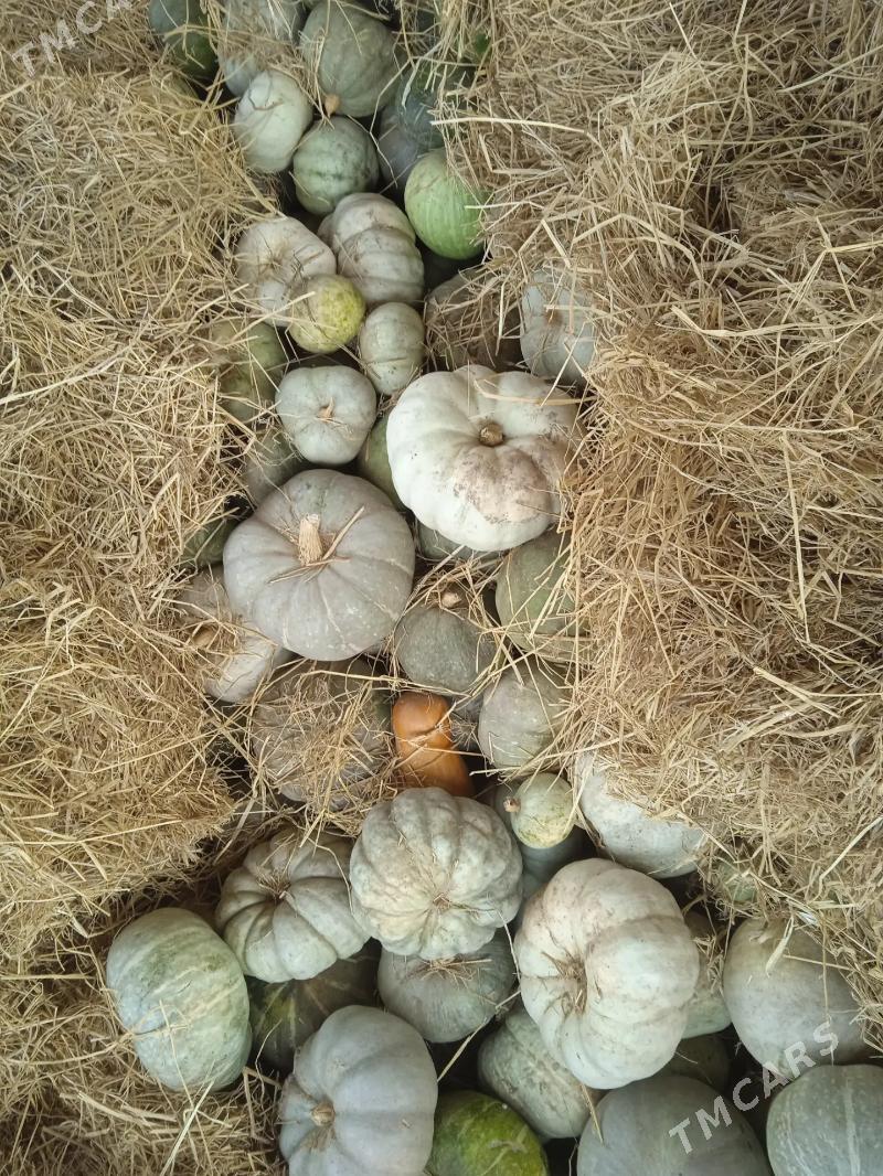 Bal kadi - Рухубелентский этрап - img 3