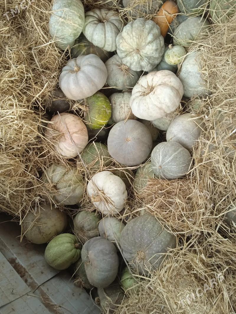 Bal kadi - Рухубелентский этрап - img 4