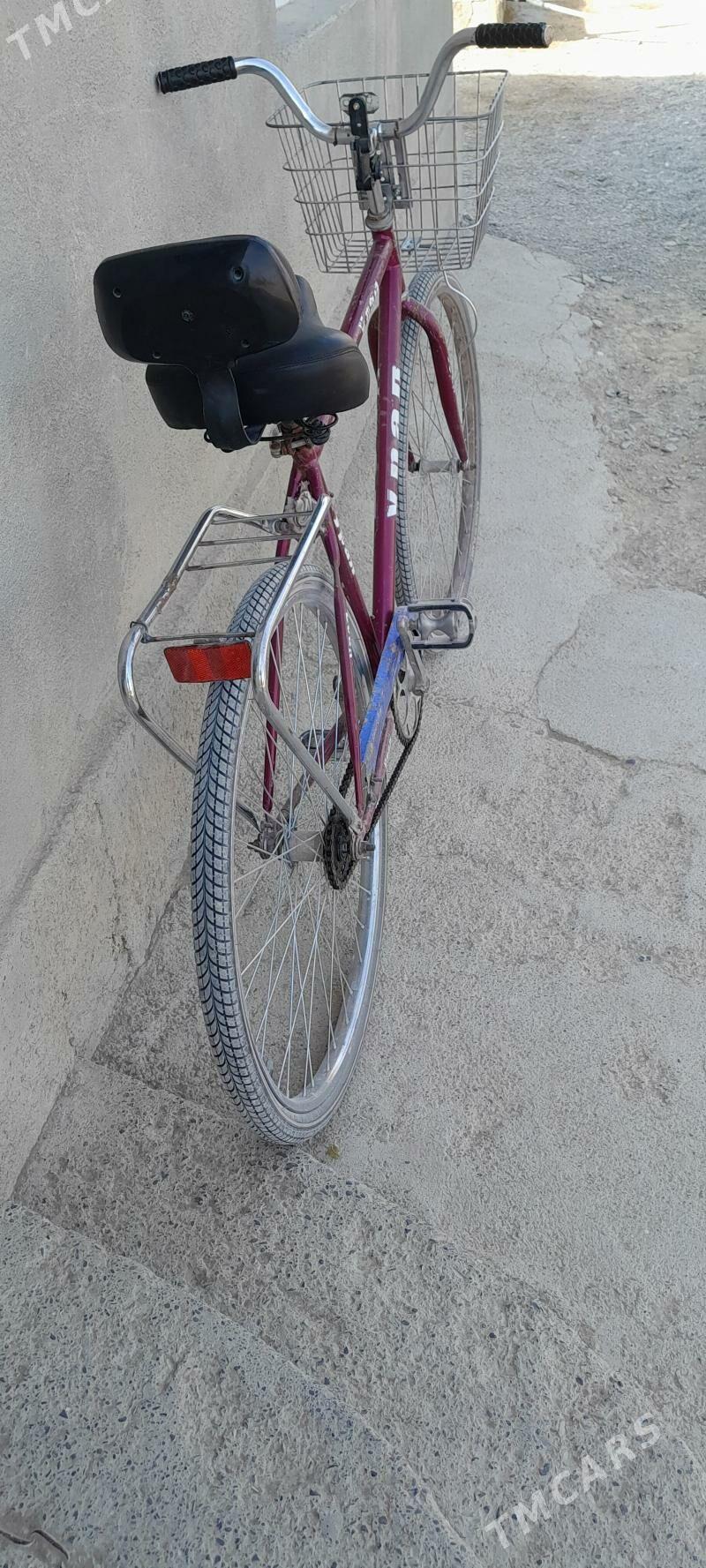 Tigir 28 lik - Gökdepe - img 3