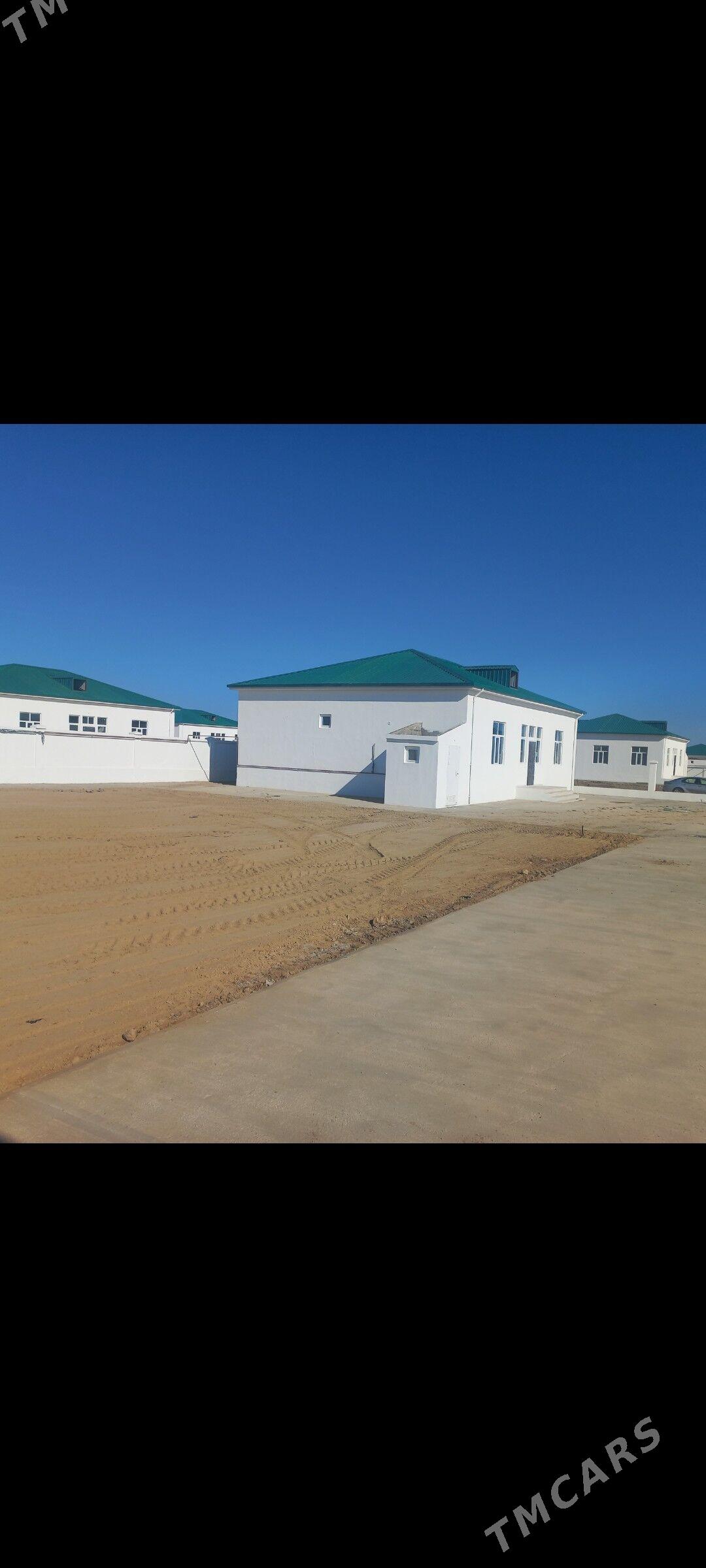 kireyne jay - Кака - img 2