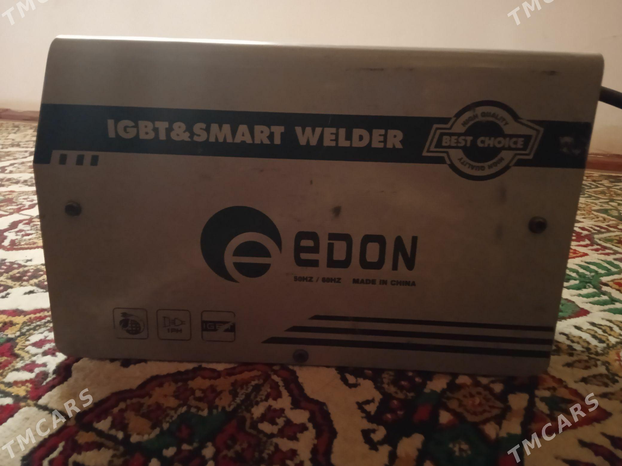 Swarka - Mary - img 4