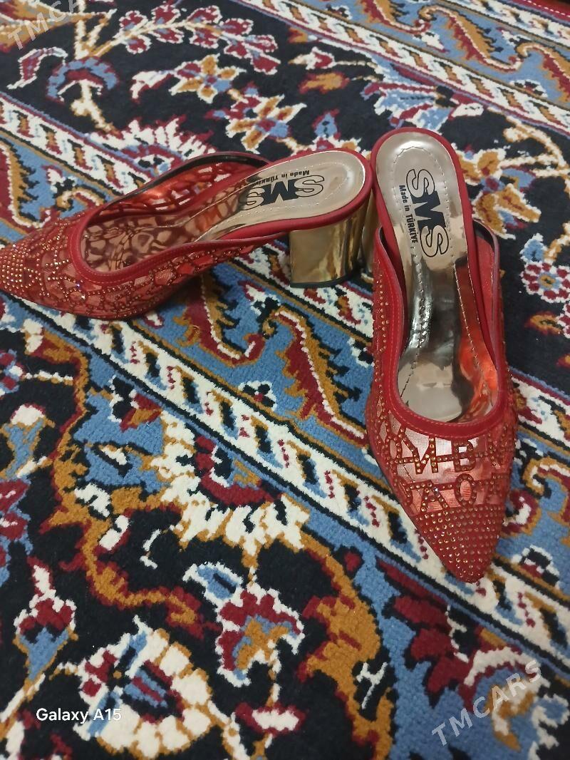 Sypbyk - Кëши - img 2