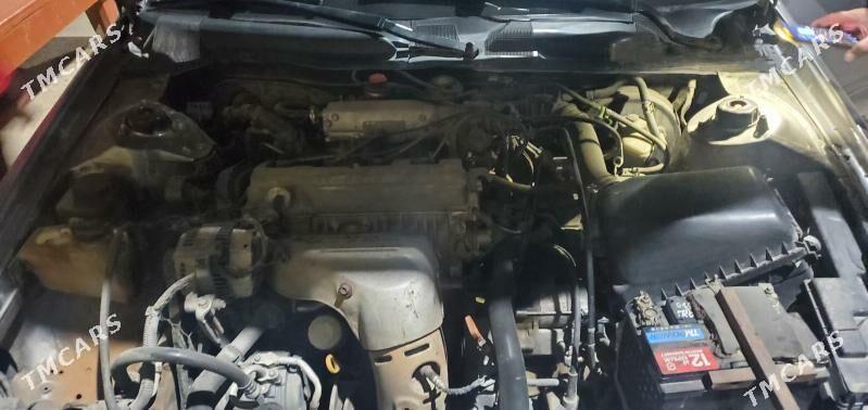 Toyota Camry 1999 - 110 000 TMT - Mary - img 6