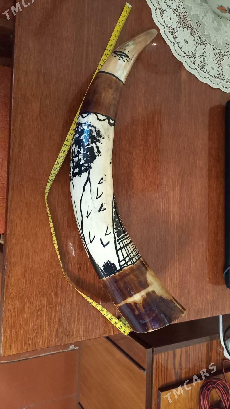 рог буйвола - Гёкдепе - img 2