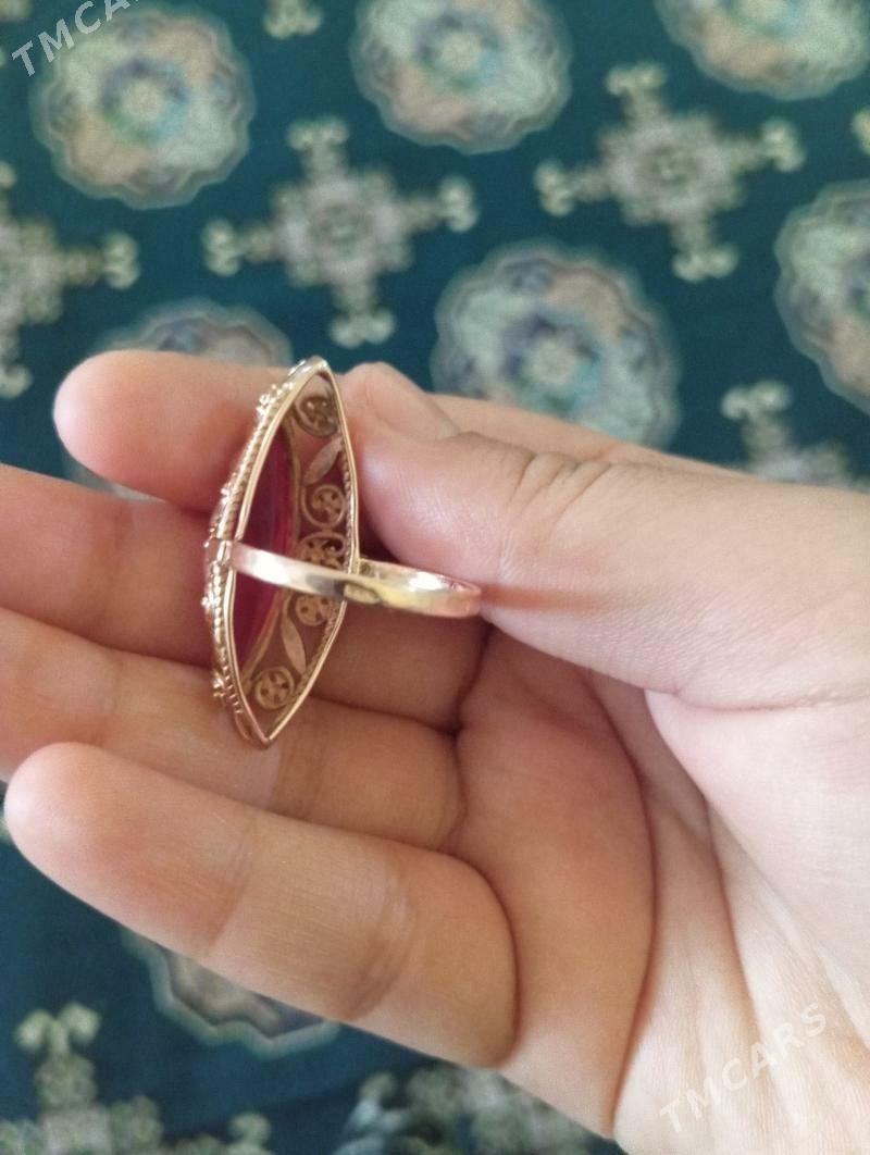 Lotga gyzyl - Änew - img 3